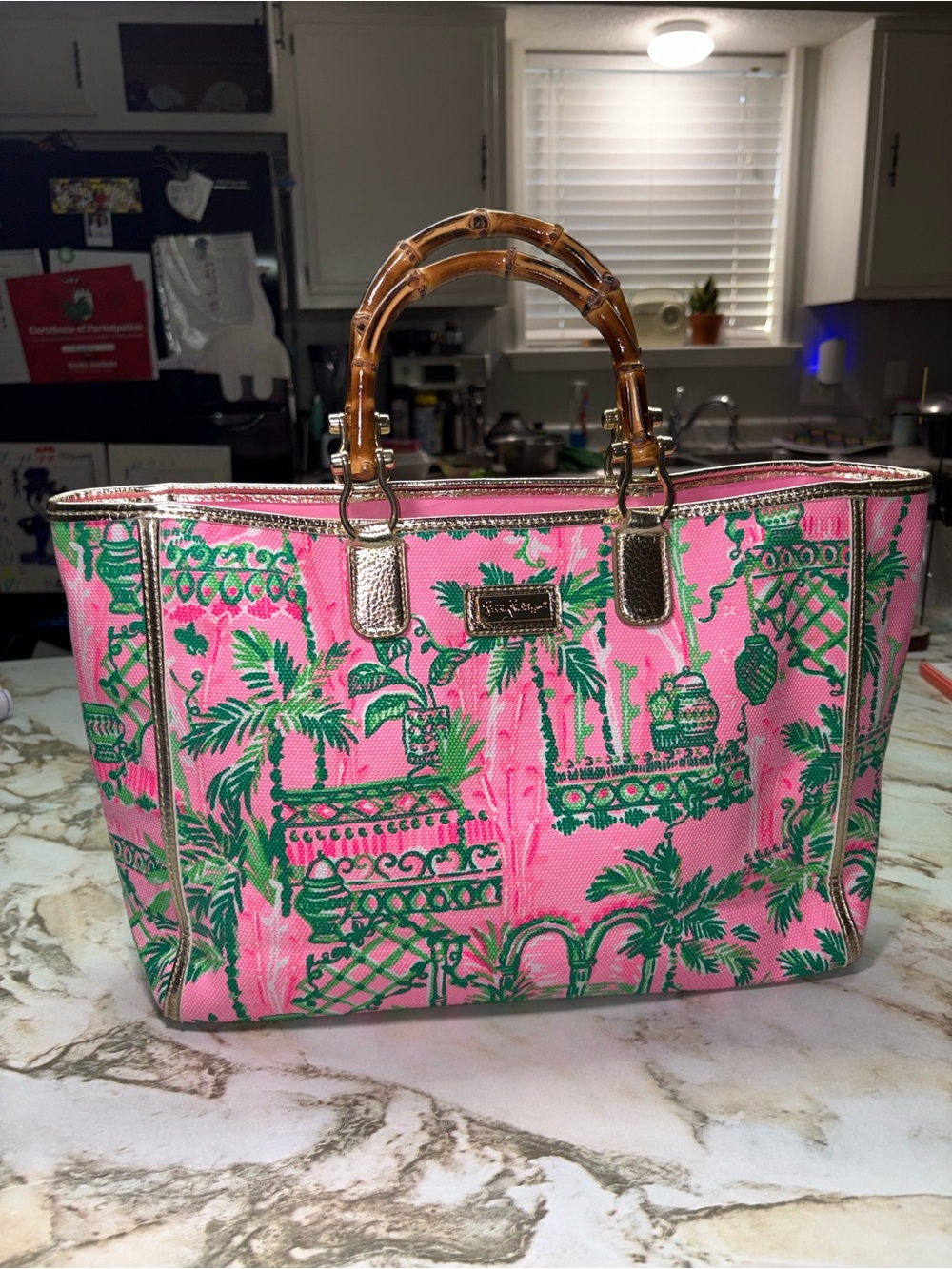 Lilly Pulitzer Greydon Canvas Tote